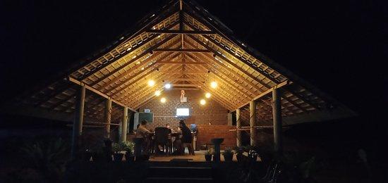 Roy's Hut